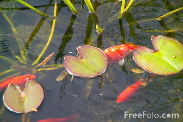 shut up and...FISH - 015815web.jpg